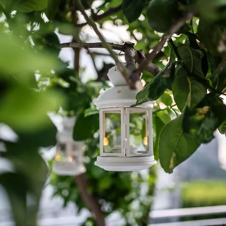 La Pagaia Sorrento Coast Bed & Breakfast Vico Equense