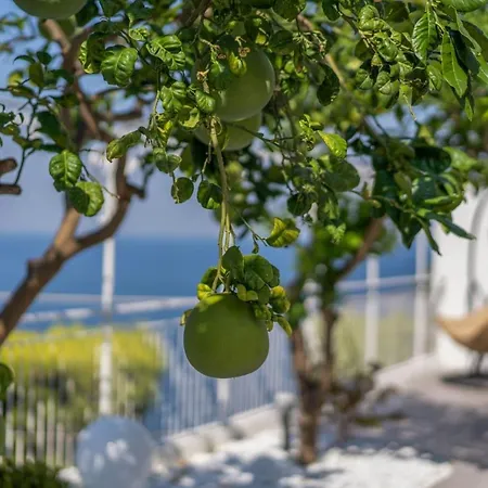 La Pagaia Sorrento Coast Bed & Breakfast *