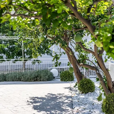 Bed & Breakfast La Pagaia Sorrento Coast