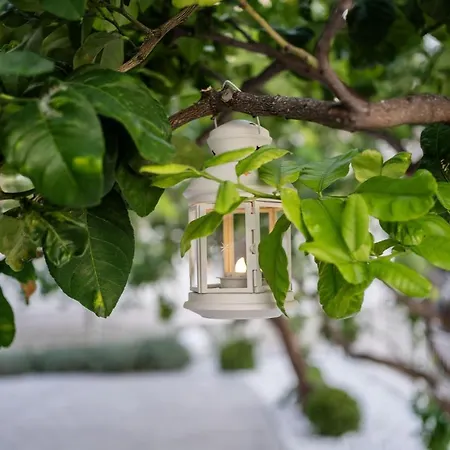 La Pagaia Sorrento Coast Bed & Breakfast